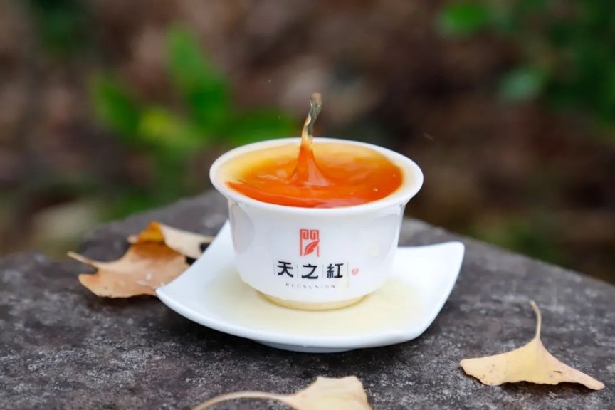 人间小满 四海茶香 I 5.21国际茶日，邀您共品一盏茶