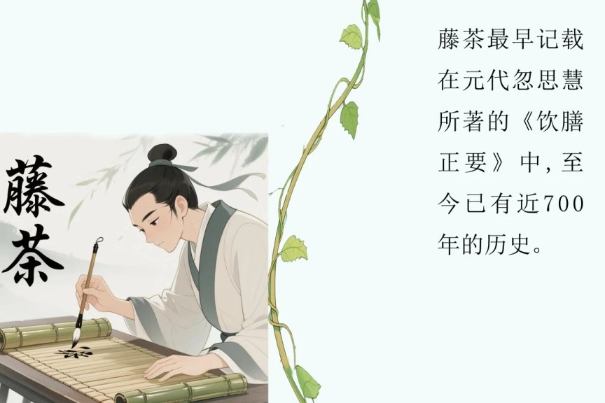 湖北恩施的一款“茶”，居然纳入了医保