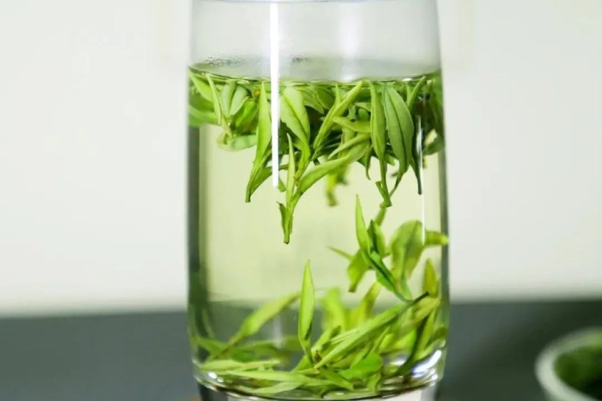 天之红·黄山毛峰，随身携带的黄山山水和春鲜滋味