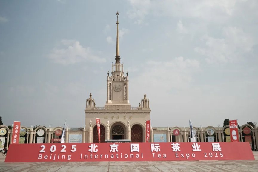 猴坑茶业亮相2025北京国际茶业展，共赴茶香之约！